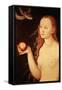 Eve, from Adam and Eve, 1528-Lucas Cranach the Elder-Framed Stretched Canvas