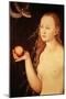 Eve, from Adam and Eve, 1528-Lucas Cranach the Elder-Mounted Giclee Print
