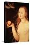Eve, from Adam and Eve, 1528-Lucas Cranach the Elder-Stretched Canvas