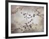 Eve of Winter-Kari Taylor-Framed Giclee Print