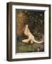 Eve-Carlos Verger-Framed Art Print