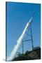 Evel Knievel's Rocket Launching-null-Stretched Canvas