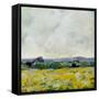 Canvas Black