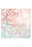 Sweet Cherry Blossoms IV-Evelia Designs-Art Print
