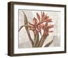 Evelina-Karsten Kirchner-Framed Art Print