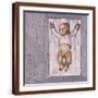 Brown Frame