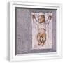 White Frame