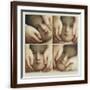Brown Frame