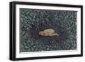 Black Frame