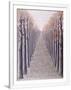 Gramercy White