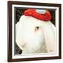 Even My Hare Hurts-Will Bullas-Framed Giclee Print