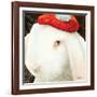 Even My Hare Hurts-Will Bullas-Framed Giclee Print