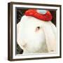 Even My Hare Hurts-Will Bullas-Framed Giclee Print