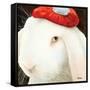 Even My Hare Hurts-Will Bullas-Framed Stretched Canvas