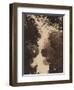 Evening, 1854 (Albumen Silver Print)-Philip Henry Delamotte-Framed Giclee Print