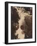 Evening, 1854 (Albumen Silver Print)-Philip Henry Delamotte-Framed Giclee Print