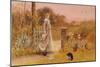 Evening, 1895-Thomas James Lloyd-Mounted Giclee Print