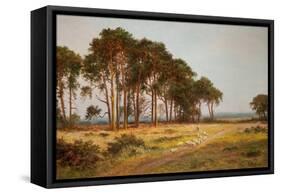 Evening at Bletchworth-Daniel Sherrin-Framed Stretched Canvas