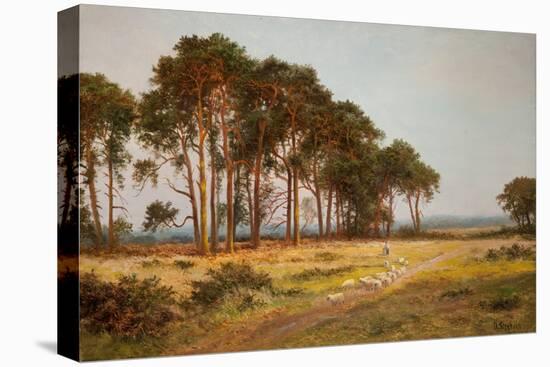 Evening at Bletchworth-Daniel Sherrin-Stretched Canvas