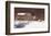 Evening at Knabb Farm-Bradley Hendershot-Framed Art Print