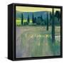 Evening at the Chateau-Ian Roberts-Framed Stretched Canvas