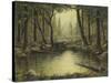 Evening at the Creek-Robert Wavra-Stretched Canvas