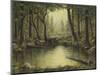 Evening at the Creek-Robert Wavra-Mounted Giclee Print