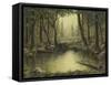 Evening at the Creek-Robert Wavra-Framed Stretched Canvas