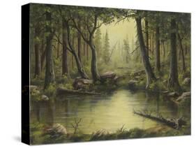 Evening at the Creek-Robert Wavra-Stretched Canvas