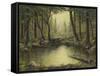 Evening at the Creek-Robert Wavra-Framed Stretched Canvas