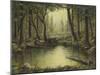 Evening at the Creek-Robert Wavra-Mounted Giclee Print