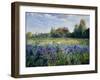 Evening at the Iris Field-Timothy Easton-Framed Giclee Print