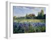 Evening at the Iris Field-Timothy Easton-Framed Giclee Print