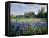 Evening at the Iris Field-Timothy Easton-Framed Stretched Canvas