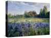 Evening at the Iris Field-Timothy Easton-Stretched Canvas