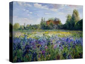 Evening at the Iris Field-Timothy Easton-Stretched Canvas