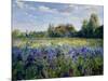 Evening at the Iris Field-Timothy Easton-Mounted Giclee Print