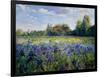 Evening at the Iris Field-Timothy Easton-Framed Giclee Print