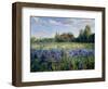 Evening at the Iris Field-Timothy Easton-Framed Giclee Print