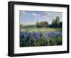 Evening at the Iris Field-Timothy Easton-Framed Giclee Print