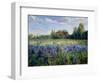 Evening at the Iris Field-Timothy Easton-Framed Giclee Print