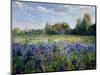 Evening at the Iris Field-Timothy Easton-Mounted Giclee Print