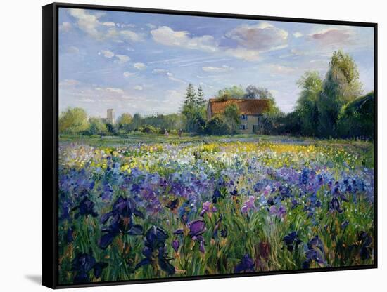 Evening at the Iris Field-Timothy Easton-Framed Stretched Canvas