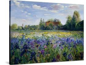 Evening at the Iris Field-Timothy Easton-Stretched Canvas