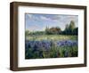 Evening at the Iris Field-Timothy Easton-Framed Premium Giclee Print