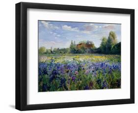 Evening at the Iris Field-Timothy Easton-Framed Premium Giclee Print