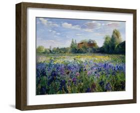 Evening at the Iris Field-Timothy Easton-Framed Giclee Print