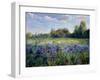 Evening at the Iris Field-Timothy Easton-Framed Giclee Print