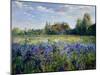 Evening at the Iris Field-Timothy Easton-Mounted Giclee Print