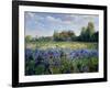 Evening at the Iris Field-Timothy Easton-Framed Giclee Print